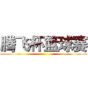 腾飞杯篮球赛 ()