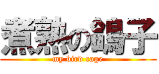 煮熟の鴿子 (my bird cage)