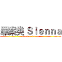 罪案类 Ｓｉｅｎｎａ (attack on Sienna)