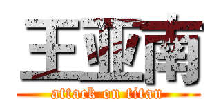 王亚南 (attack on titan)
