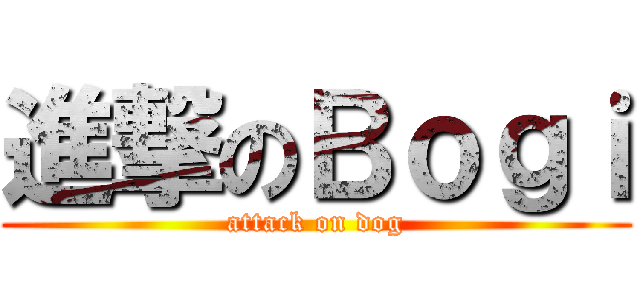 進撃のＢｏｇｉ (attack on dog)