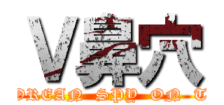 Ｖ鼻穴 (KOREAN  SPY  ON  TV)