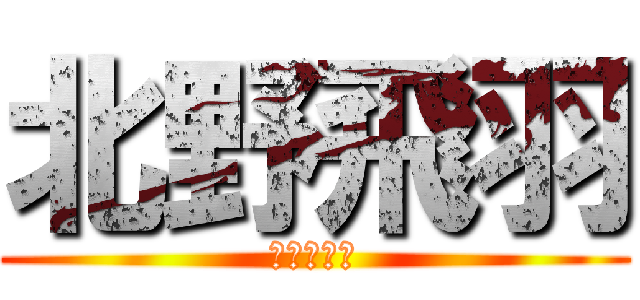 北野飛羽 (きたのとわ)