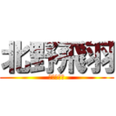 北野飛羽 (きたのとわ)