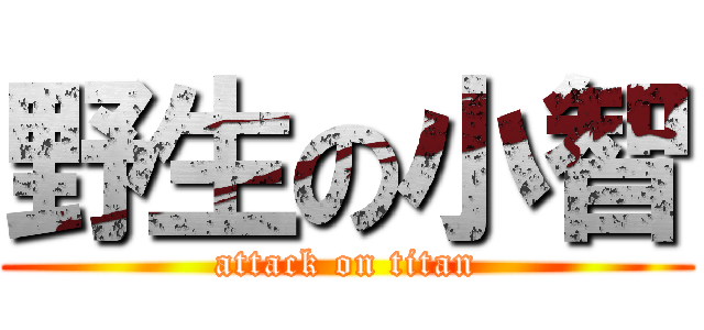 野生の小智 (attack on titan)