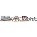 鳥籠の中に囚われた (attack on titan)