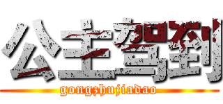 公主驾到 (gongzhujiadao)