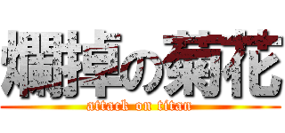 爛掉の菊花 (attack on titan)