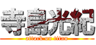 寺島光紀 (attack on titan)