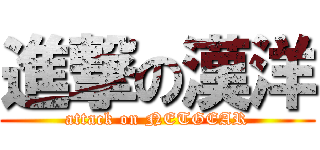 進撃の漢洋 (attack on NETGEAR)