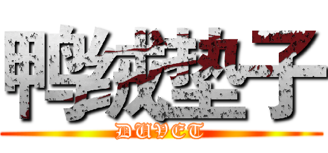 鸭绒垫子 (DUVET)