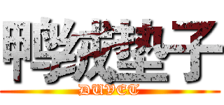 鸭绒垫子 (DUVET)