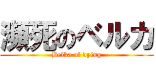 瀕死のベルカ (Belka of dying)