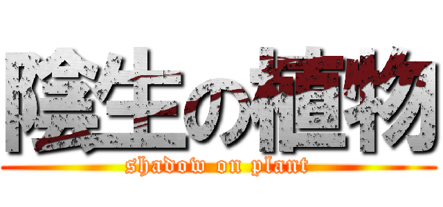 陰生の植物 (shadow on plant)