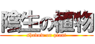 陰生の植物 (shadow on plant)