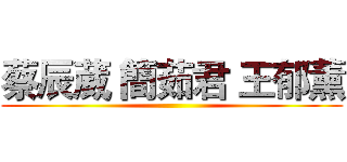蔡辰葳 簡茹君 王郁薰 ()
