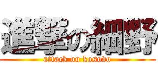 進撃の細野 (attack on kosovo)