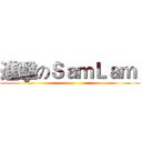 進擊のＳａｍＬａｍ  (=.=)