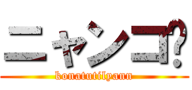 ニャンコ😺 (konatutilyann)