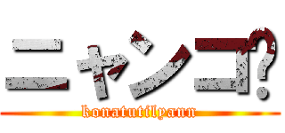 ニャンコ😺 (konatutilyann)