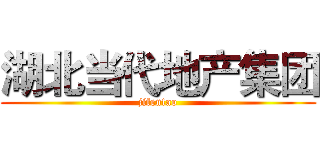 湖北当代地产集团 (jifentao)