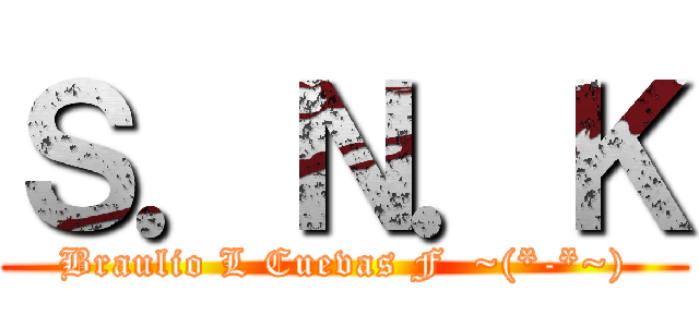 Ｓ．Ｎ．Ｋ (Braulio L Cuevas F  ~(*-*~))
