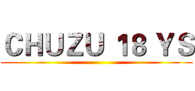 ＣＨＵＺＵ １８ ＹＳ ()