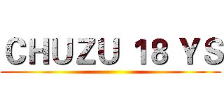 ＣＨＵＺＵ １８ ＹＳ ()