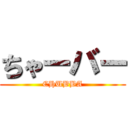 ちゃーバー (CHUBBA)