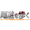 尾道を歩く (walking on onomichi)