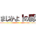 まじかよ！の豚 (ton)