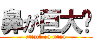 鼻が巨大👃 (attack on titan)