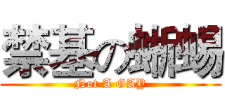 禁基の蜥蜴 (Not A GAY)