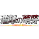 進撃の萌芽 (mojamoja hair)