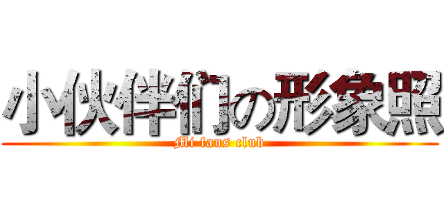 小伙伴们の形象照 (Mi fans club)