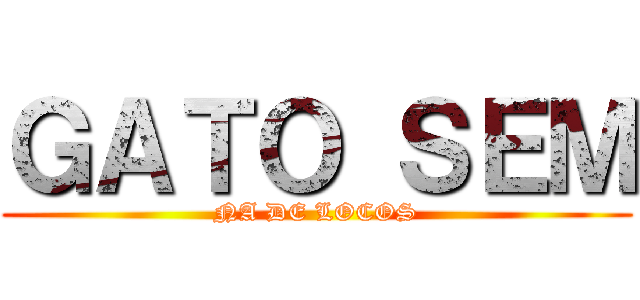 ＧＡＴＯ ＳＥＭ (NA DE LOCOS)
