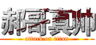 郝哥真帅 (attack on titan)