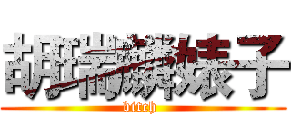 胡瑞麟婊子 (bitch )