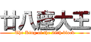 廿八座大王 (The King of the 28th block)