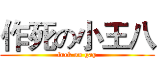 作死の小王八 (fuck on gay)