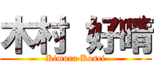 木村 好晴 (Kimura Kosei)