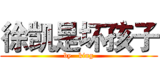 徐凯是坏孩子 (by   king)