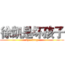 徐凯是坏孩子 (by   king)