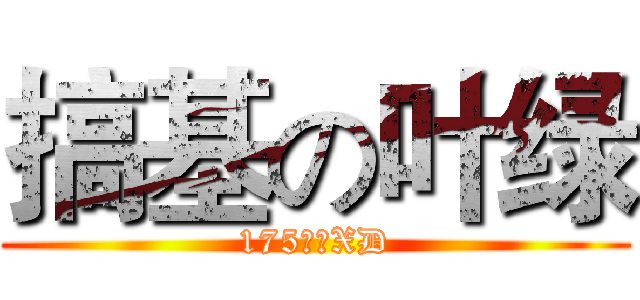 搞基の叶绿 (175阳光XD)
