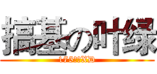 搞基の叶绿 (175阳光XD)