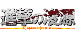 進撃の浚源 (Chrysanthemum)