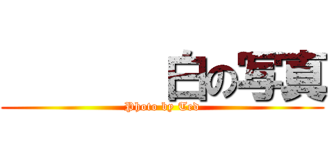        白の写真 (Photo by Ted)