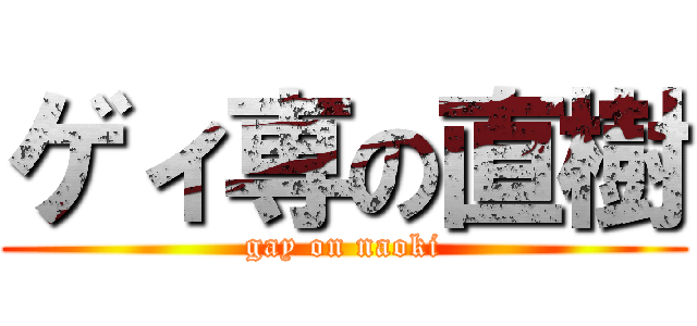 ゲィ専の直樹 (gay on naoki)