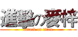 進擊の麥梓 (attack on titan)