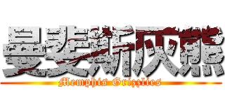 曼斐斯灰熊 (Memphis Grizzlies)